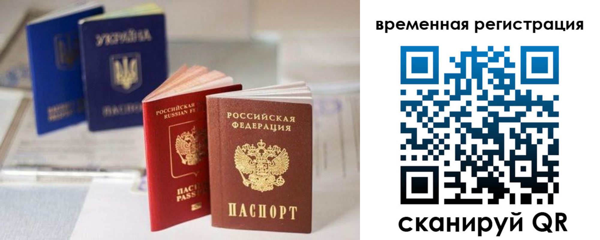 прописка поиск в Светлограде